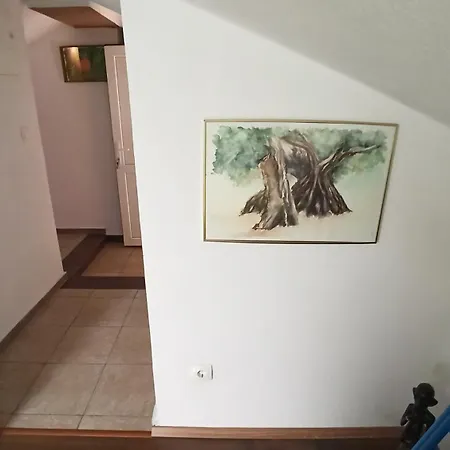 Apartment Solta